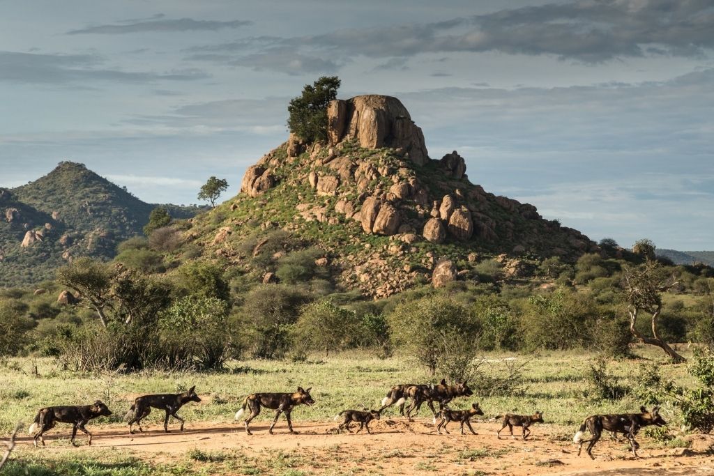 Laikipia & Samburu